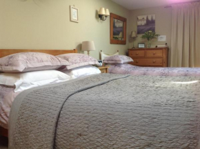 Гостиница Motts Bed & Breakfast  Грейт-Данмоу